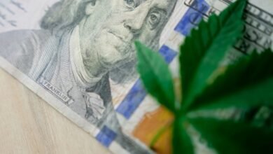 top cannabis stocks investment