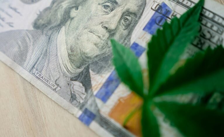 top cannabis stocks investment