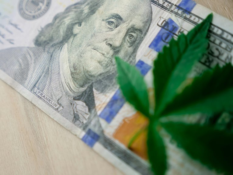 top cannabis stocks investment