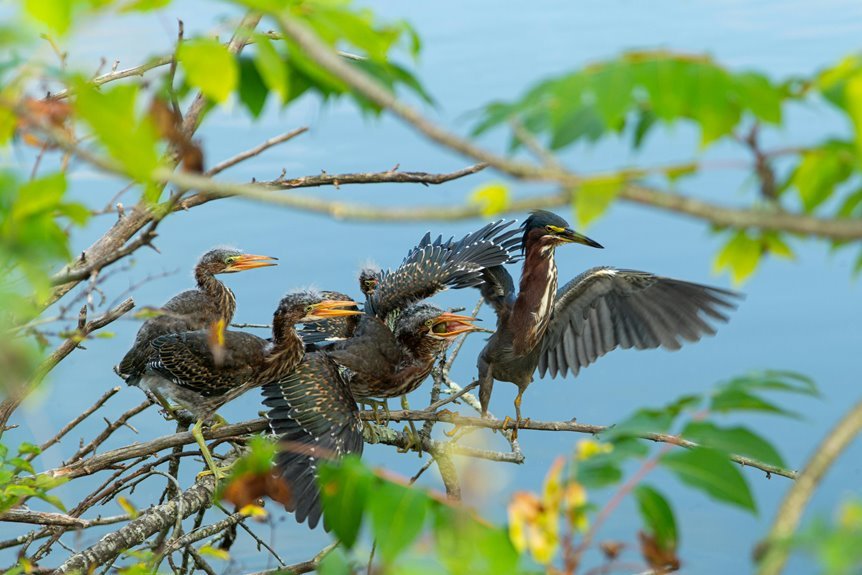 regional call frequency insights