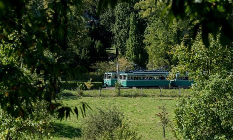 fraud tracking bureau numbers