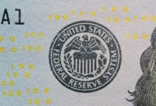 professional digital system online