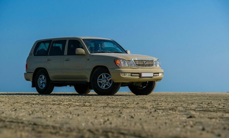 reliable online stability platform